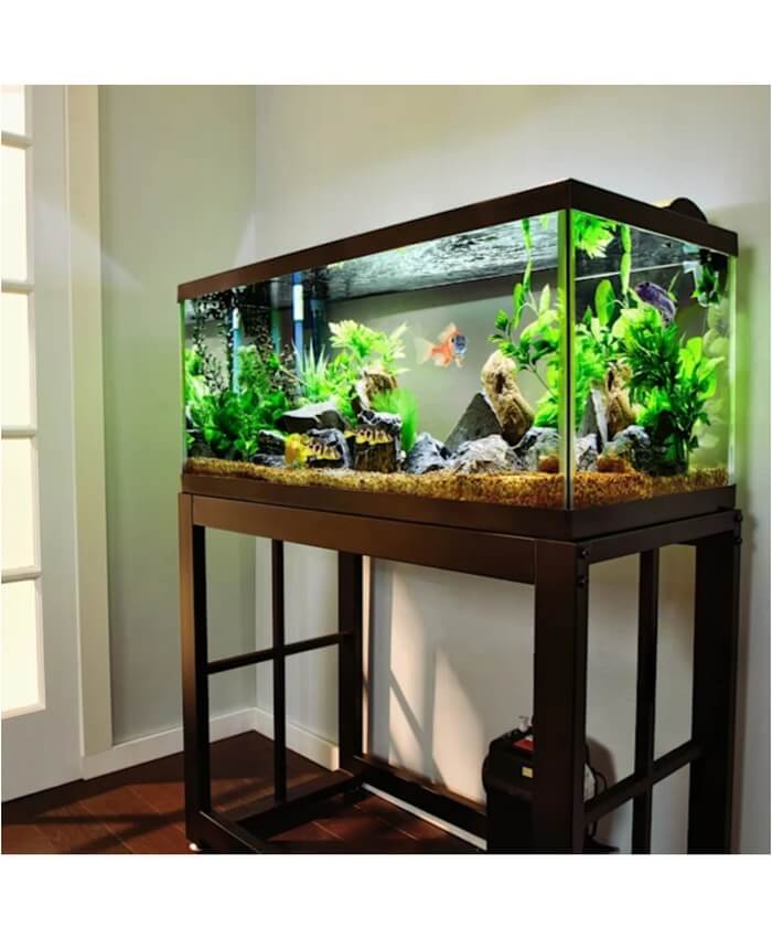 Aqueon Standard Glass Aquarium Tank 40 Gallon Breeder